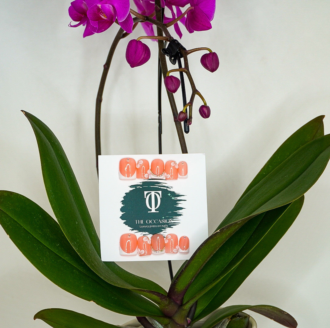 Dinner at the Château