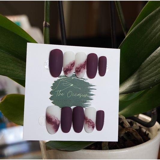 Velvet Orchid