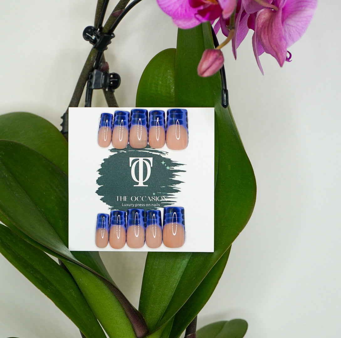 Bleu Électrique Porosus